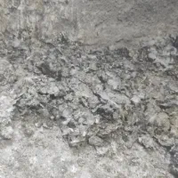 کود کبوتر  برای باغ