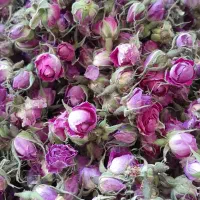 گل خشک|گل و گیاه طبیعی|یاسوج, |دیوار