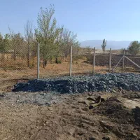 فنس کشی نصف فنس|خدمات باغبانی و درختکاری|رباطکریم, شترخوار|دیوار