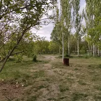 باغ شخصی به صورت رایگان جهت کمپ عزیزان