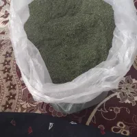 شوید خشک|خوردنی و آشامیدنی|مشهد, عسگریه|دیوار