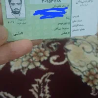 کارت پیدا شده