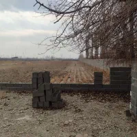 خرید زمین فرصتی استثایی جهت سرمایه گذاری،