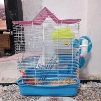 همستر فسقلی بهمراه قفس