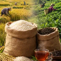 برنج و چای لاهیجان اعلا