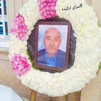 گل رز هلندی|گل و گیاه طبیعی|دوگنبدان, |دیوار