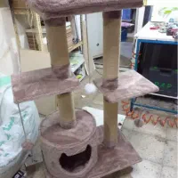 اسکرچیر گربه