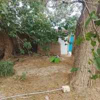 باغ