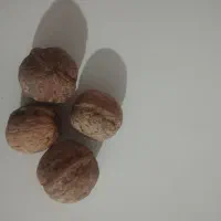 گردو|خوردنی و آشامیدنی|نیشابور, مازول|دیوار