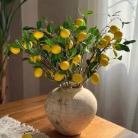 شاخه لیمو وارداتی ۶ میوه (تک و عمده)