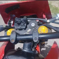 تریل 250رادیسون