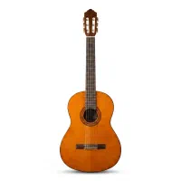 گیتار c40 نو