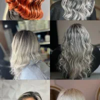 رنگ و لایت تخصصی