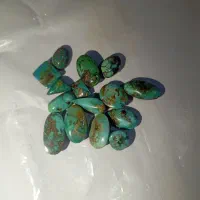 فیروزه نیشابوری کد 004