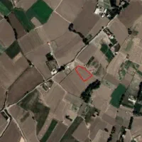 زمین گلخانه با مجوز
