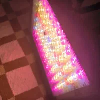 پرژکتور رشد گیاه فول اسپکتروم 300w