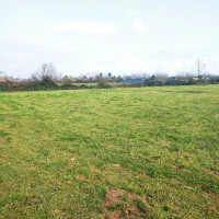 فروش زمین8000متری مناسب برای باغ کیوی