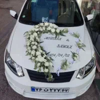 گلسرای مینا