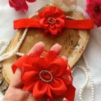 گلسر یلدایی|بدلیجات|سبزوار, شرق کال میانی|دیوار