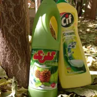 استخدام نیروآقاوخانم با صبحانه ناهار بیمه کاردائم