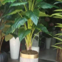 درختچه ۱۷۰|گل مصنوعی|تهران, مشیریه|دیوار