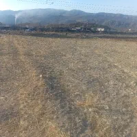 زمین دشتروم لب  جاده اصلی بابا میدان تنگاری|فروش زمین و ملک کلنگی|یاسوج, |دیوار