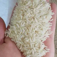 برنج طارم هاشمی درجه یک گیلان