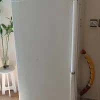 یخچال و فریزر دو قلو الکترو استیل