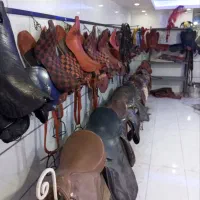 زین اسب ولوازم سوارکاری|اسب و تجهیزات اسبسواری|کرج, کیانمهر|دیوار