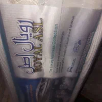 تشک نوجوان آکبند