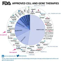 تدریس علوم پایه ودروس کنکور به صورت تخصصی