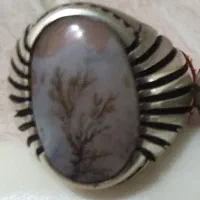 انگشتر شجر تک درخت