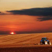 زمین کشاورزی