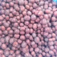 عناب 250و 350نخرید کیلویی150 ازبزرگترین مرکز فروش|عمده‌فروشی|تهران, پردیسان|دیوار