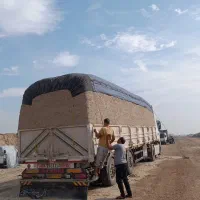 کاه نیشکر،  باگاس|عمده‌فروشی|کارون, |دیوار