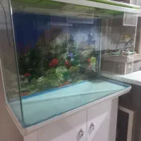 اکواریوم