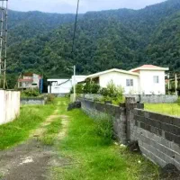 جوربند-صفر-جنگل-تهاتر-با-طلا-ودلار-و-خودرو