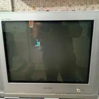تلویزون