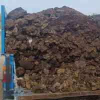 کودحیوانی گاوی|خدمات باغبانی و درختکاری|اردبیل, |دیوار