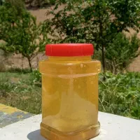 عسل طبیعی کوهستان