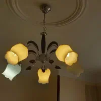 لوستر یک جفت