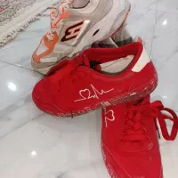 کتانی وارداتی اصل