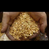 طلای رایگان