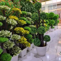 درختچه جاودان|گل مصنوعی|آفتاب, |دیوار