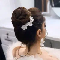 یک مدل برای شینیون نیازمندم (کاملا رایگان )
