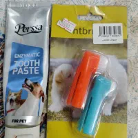 گربه خمیردندان و مسواک گربه