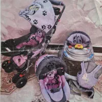 کالسکه و کریر و روروئک و جلیقه حمل نوزاد
