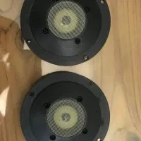 تیوتر هوکوتن