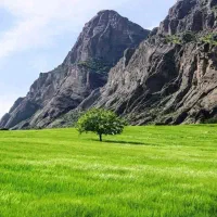 پارتنر طبیعت گرد