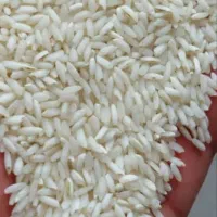 برنج عنبربو درجه یک و اعلا اهواز